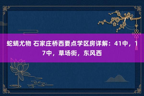 蛇蝎尤物 石家庄桥西要点学区房详解：41中，17中，草场街，东风西