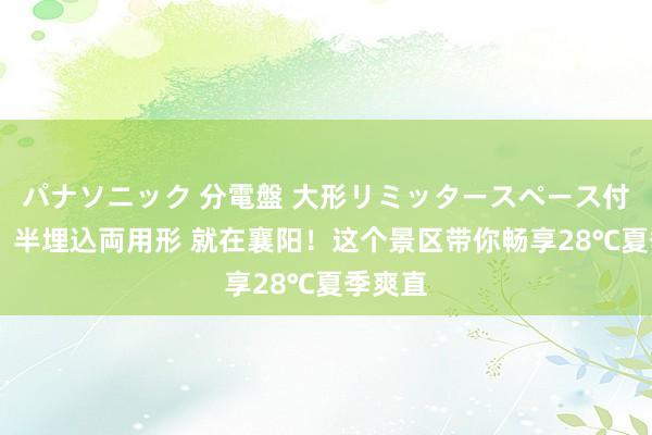 パナソニック 分電盤 大形リミッタースペース付 露出・半埋込両用形 就在襄阳！这个景区带你畅享28℃夏季爽直