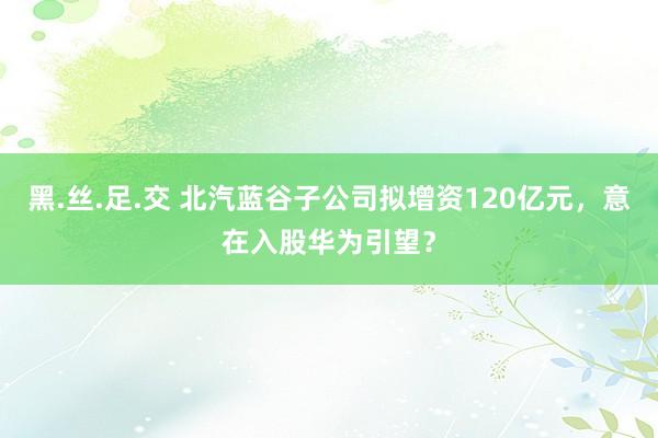 黑.丝.足.交 北汽蓝谷子公司拟增资120亿元，意在入股华为引望？