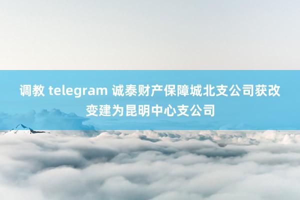 调教 telegram 诚泰财产保障城北支公司获改变建为昆明中心支公司