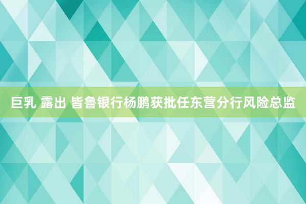 巨乳 露出 皆鲁银行杨鹏获批任东营分行风险总监