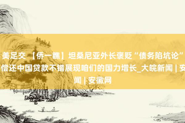 美足交 【侨一瞧】坦桑尼亚外长褒贬“债务陷坑论” 告捷偿还中国贷款不错展现咱们的国力增长_大皖新闻 | 安徽网