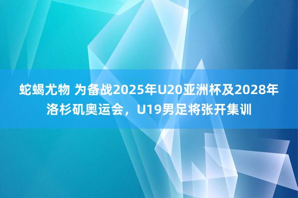 蛇蝎尤物 为备战2025年U20亚洲杯及2028年洛杉矶奥运会，U19男足将张开集训