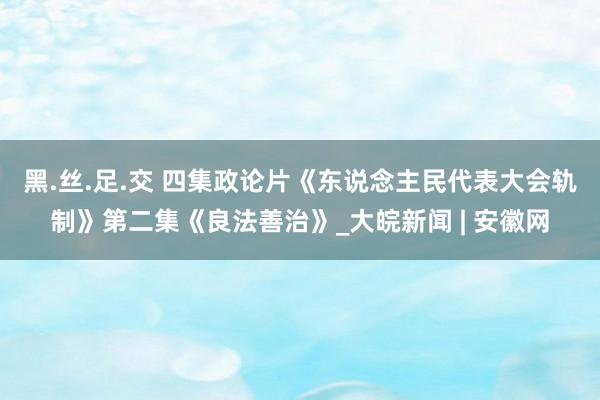 黑.丝.足.交 四集政论片《东说念主民代表大会轨制》第二集《良法善治》_大皖新闻 | 安徽网