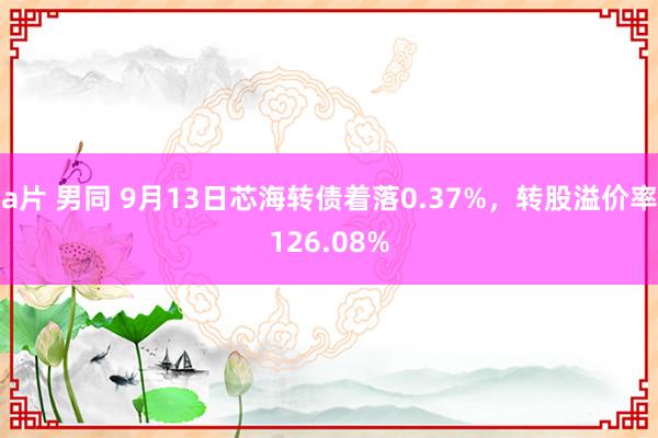 a片 男同 9月13日芯海转债着落0.37%，转股溢价率126.08%