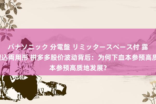 パナソニック 分電盤 リミッタースペース付 露出・半埋込両用形 拼多多股价波动背后：为何下血本参预高质地发展？