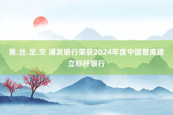 黑.丝.足.交 浦发银行荣获2024年度中国管库建立标杆银行