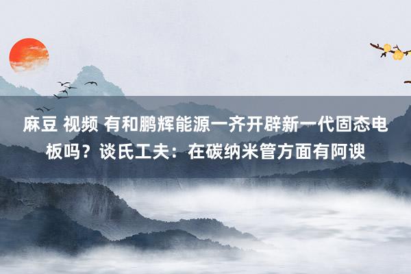 麻豆 视频 有和鹏辉能源一齐开辟新一代固态电板吗？谈氏工夫：在碳纳米管方面有阿谀