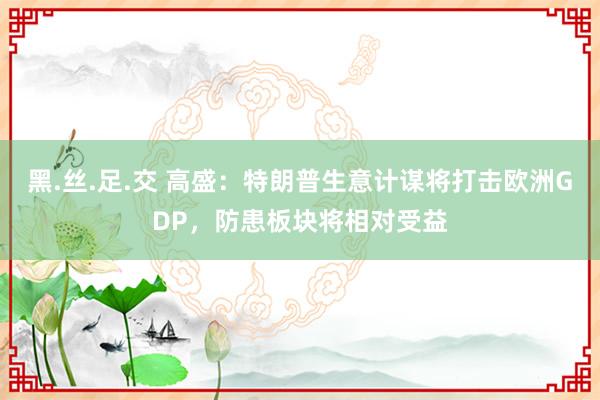 黑.丝.足.交 高盛：特朗普生意计谋将打击欧洲GDP，防患板块将相对受益