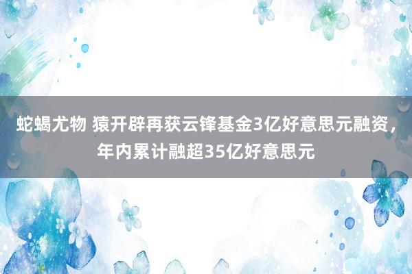 蛇蝎尤物 猿开辟再获云锋基金3亿好意思元融资，年内累计融超35亿好意思元