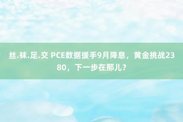 丝.袜.足.交 PCE数据援手9月降息，黄金挑战2380，下一步在那儿？