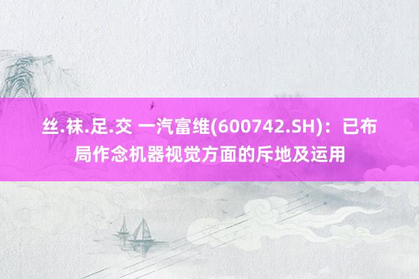 丝.袜.足.交 一汽富维(600742.SH)：已布局作念机器视觉方面的斥地及运用