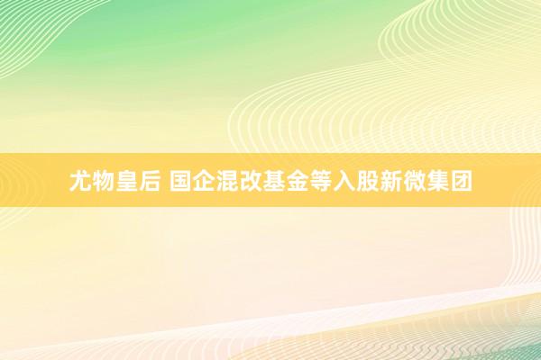 尤物皇后 国企混改基金等入股新微集团