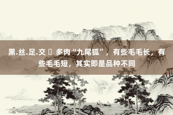 黑.丝.足.交 ​多肉“九尾狐”，有些毛毛长，有些毛毛短，其实即是品种不同