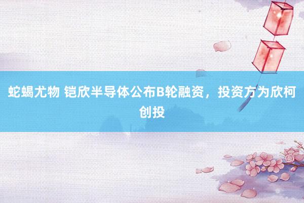 蛇蝎尤物 铠欣半导体公布B轮融资，投资方为欣柯创投