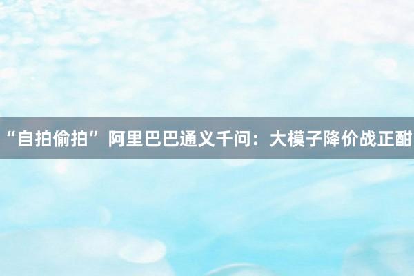 “自拍偷拍” 阿里巴巴通义千问：大模子降价战正酣