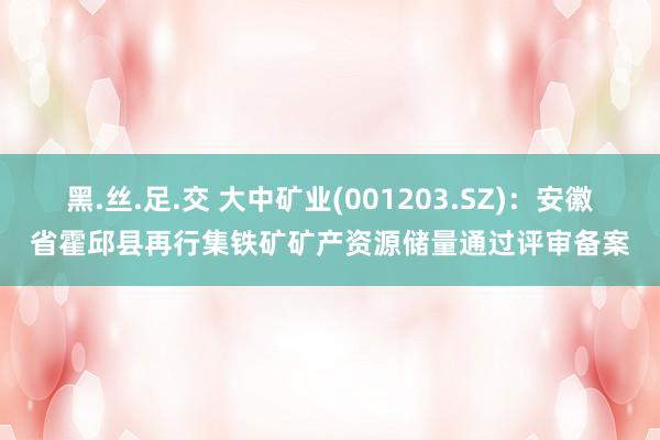 黑.丝.足.交 大中矿业(001203.SZ)：安徽省霍邱县再行集铁矿矿产资源储量通过评审备案