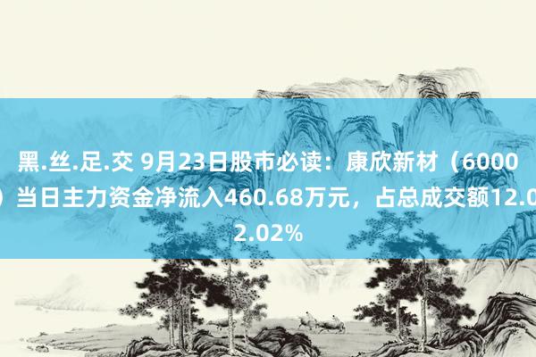 黑.丝.足.交 9月23日股市必读：康欣新材（600076）当日主力资金净流入460.68万元，占总成交额12.02%