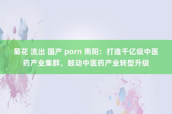 菊花 流出 国产 porn 南阳：打造千亿级中医药产业集群，鼓动中医药产业转型升级