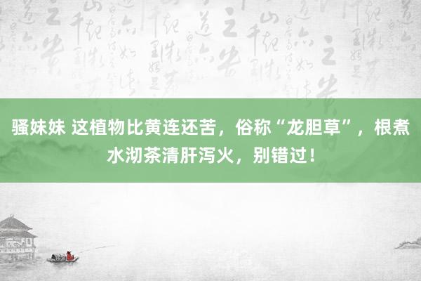 骚妹妹 这植物比黄连还苦，俗称“龙胆草”，根煮水沏茶清肝泻火，别错过！