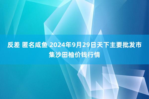 反差 匿名咸鱼 2024年9月29日天下主要批发市集沙田柚价钱行情