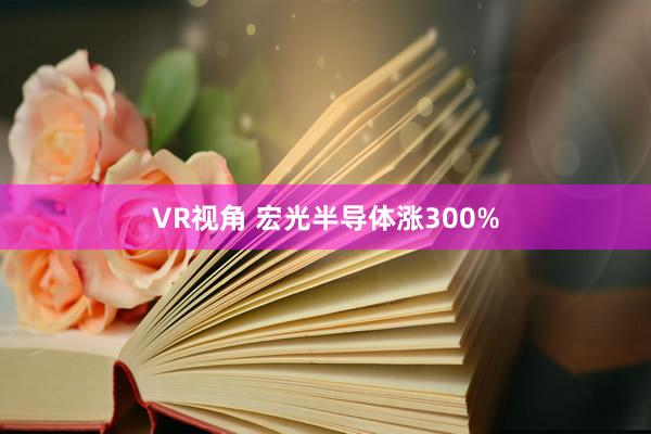 VR视角 宏光半导体涨300%