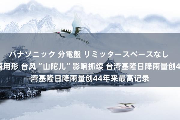 パナソニック 分電盤 リミッタースペースなし 露出・半埋込両用形 台风“山陀儿”影响抓续 台湾基隆日降雨量创44年来最高记录