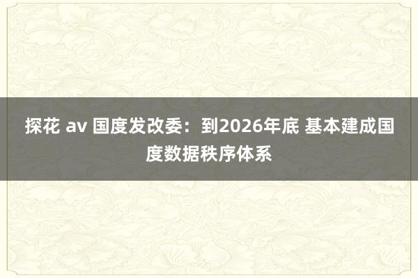 探花 av 国度发改委：到2026年底 基本建成国度数据秩序体系