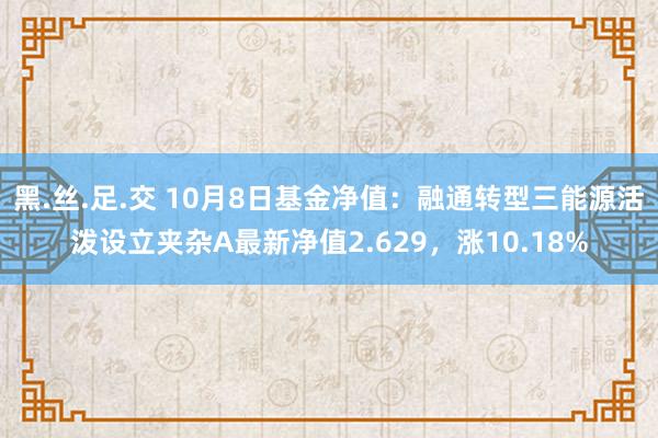 黑.丝.足.交 10月8日基金净值：融通转型三能源活泼设立夹杂A最新净值2.629，涨10.18%