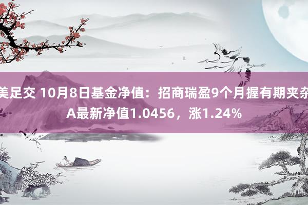 美足交 10月8日基金净值：招商瑞盈9个月握有期夹杂A最新净值1.0456，涨1.24%