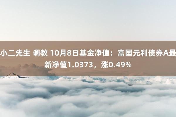 小二先生 调教 10月8日基金净值：富国元利债券A最新净值1.0373，涨0.49%