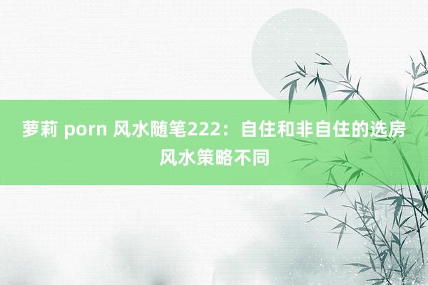 萝莉 porn 风水随笔222：自住和非自住的选房风水策略不同