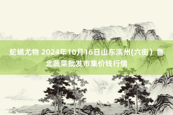 蛇蝎尤物 2024年10月16日山东滨州(六街）鲁北蔬菜批发市集价钱行情