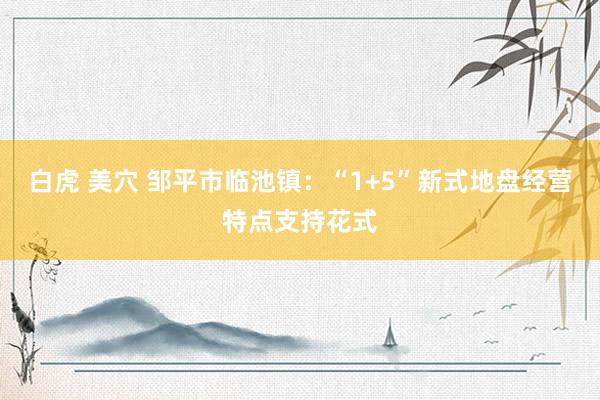 白虎 美穴 邹平市临池镇：“1+5”新式地盘经营特点支持花式