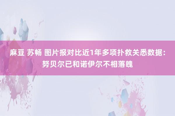 麻豆 苏畅 图片报对比近1年多项扑救关悉数据：努贝尔已和诺伊尔不相落魄