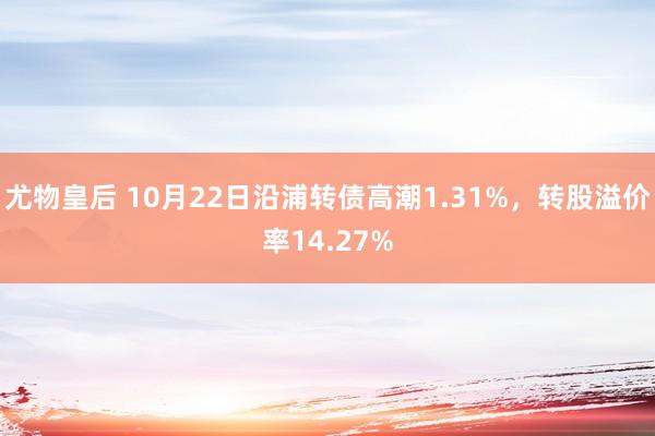 尤物皇后 10月22日沿浦转债高潮1.31%，转股溢价率14.27%