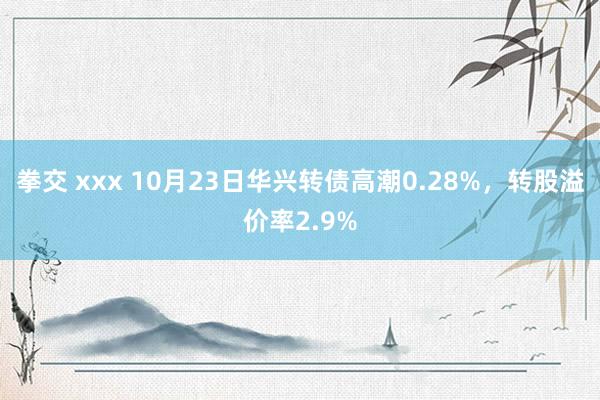 拳交 xxx 10月23日华兴转债高潮0.28%，转股溢价率2.9%