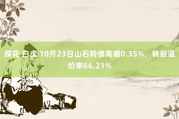 探花 白虎 10月23日山石转债高潮0.35%，转股溢价率66.21%