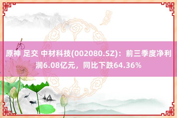 原神 足交 中材科技(002080.SZ)：前三季度净利润6.08亿元，同比下跌64.36%