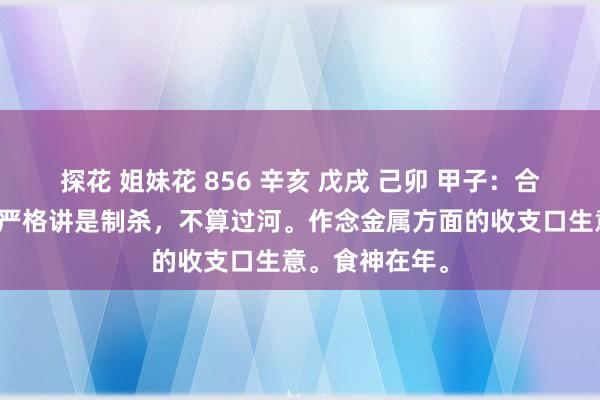 探花 姐妹花 856 辛亥 戊戌 己卯 甲子：合杀透官制劫，严格讲是制杀，不算过河。作念金属方面的收支口生意。食神在年。