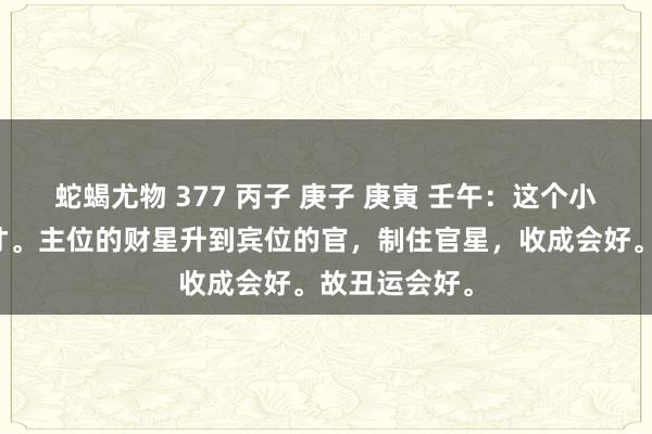 蛇蝎尤物 377 丙子 庚子 庚寅 壬午：这个小孩是围棋奇才。主位的财星升到宾位的官，制住官星，收成会好。故丑运会好。