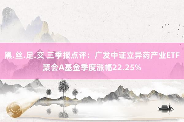 黑.丝.足.交 三季报点评：广发中证立异药产业ETF聚会A基金季度涨幅22.25%