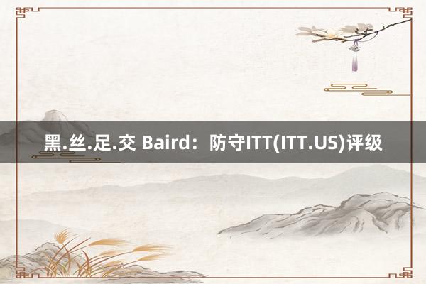 黑.丝.足.交 Baird：防守ITT(ITT.US)评级