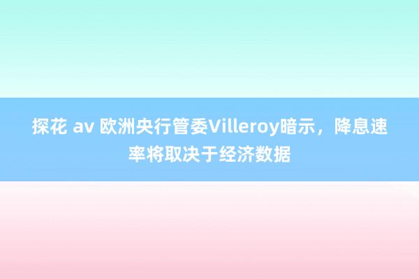 探花 av 欧洲央行管委Villeroy暗示，降息速率将取决于经济数据