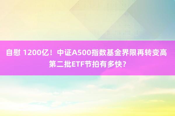 自慰 1200亿！中证A500指数基金界限再转变高 第二批ETF节拍有多快？