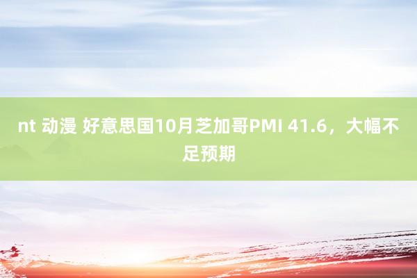 nt 动漫 好意思国10月芝加哥PMI 41.6，大幅不足预期