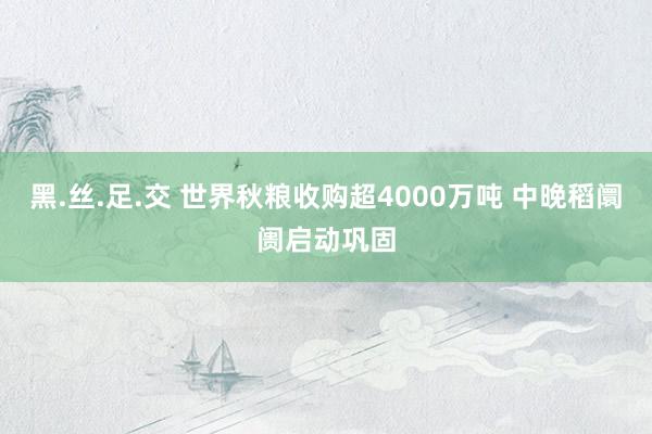 黑.丝.足.交 世界秋粮收购超4000万吨 中晚稻阛阓启动巩固