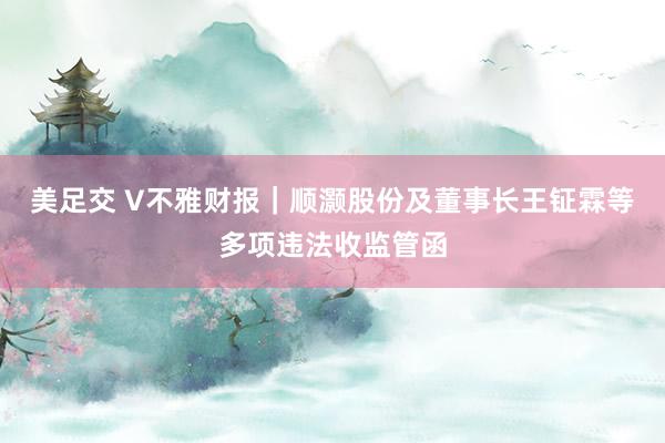 美足交 V不雅财报｜顺灏股份及董事长王钲霖等多项违法收监管函