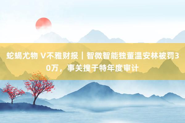 蛇蝎尤物 V不雅财报｜智微智能独董温安林被罚30万，事关搜于特年度审计