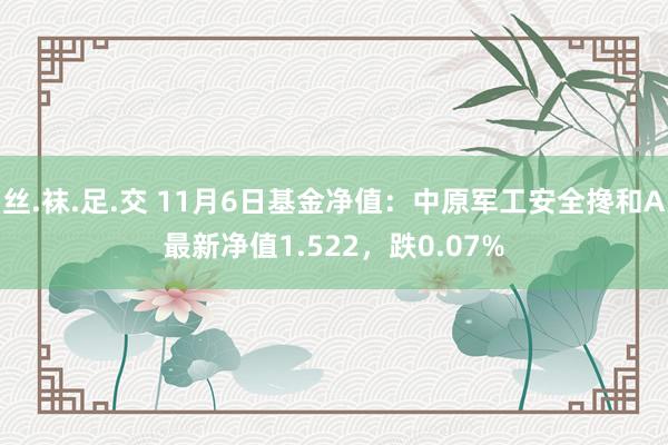 丝.袜.足.交 11月6日基金净值：中原军工安全搀和A最新净值1.522，跌0.07%